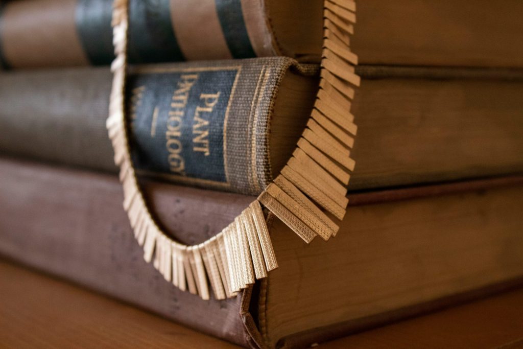 Nahaufnahme eines Schuhs